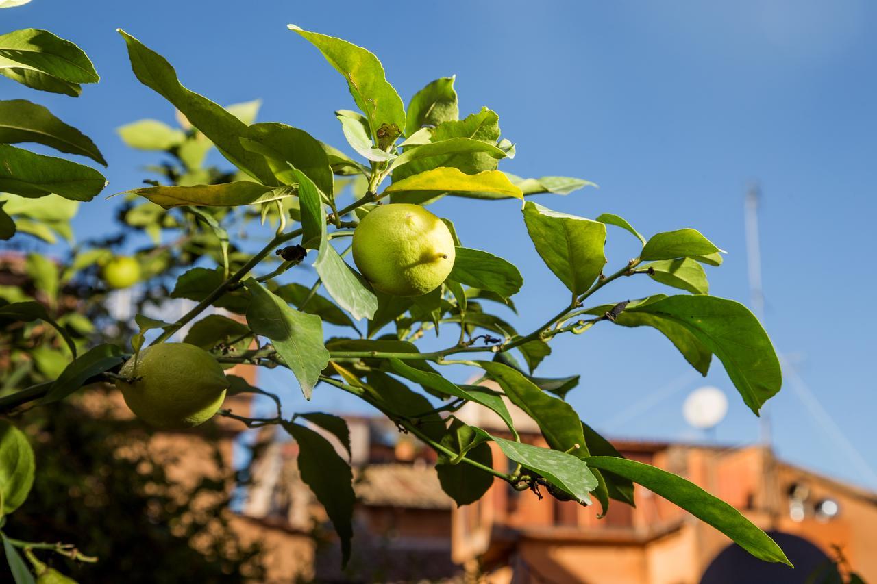 Trastevere Apartments 罗马 外观 照片